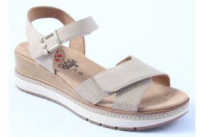 RL/26701 GOLD
