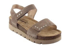 CB/50842 CASTORO